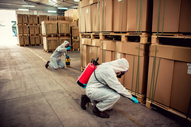 Best Rat Extermination Near Me  in East Liverpool, OH