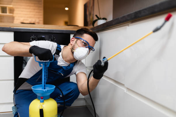 Best Termite Control Services  in East Liverpool, OH