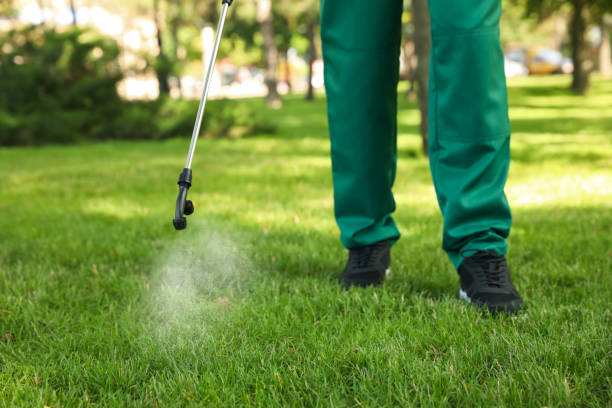 Pest Prevention Services in East Liverpool, OH
