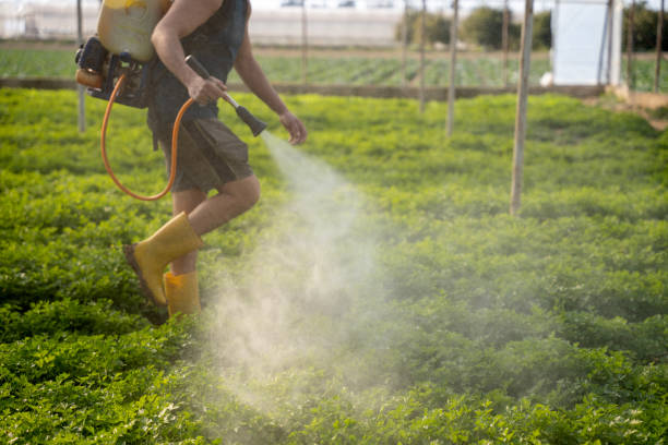 Best Pest Removal Services  in East Liverpool, OH