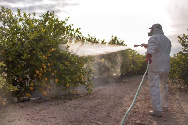 Best Emergency Pest Control  in East Liverpool, OH