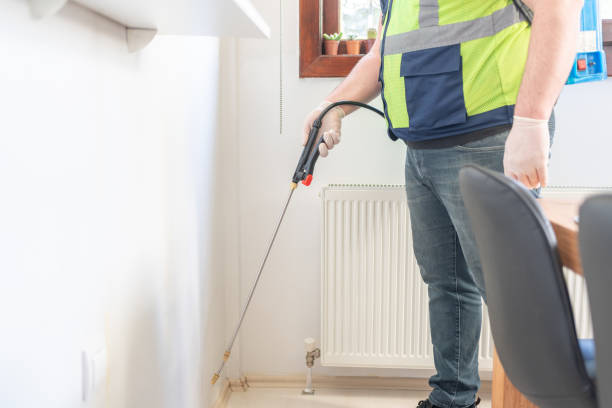 Reliable East Liverpool, OH Pest Control Solutions