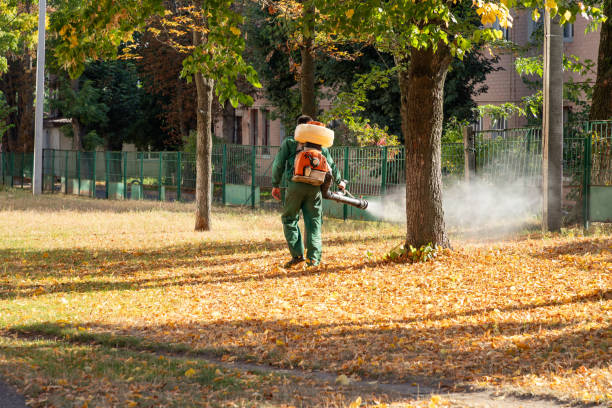 Best Flea Control Services  in East Liverpool, OH